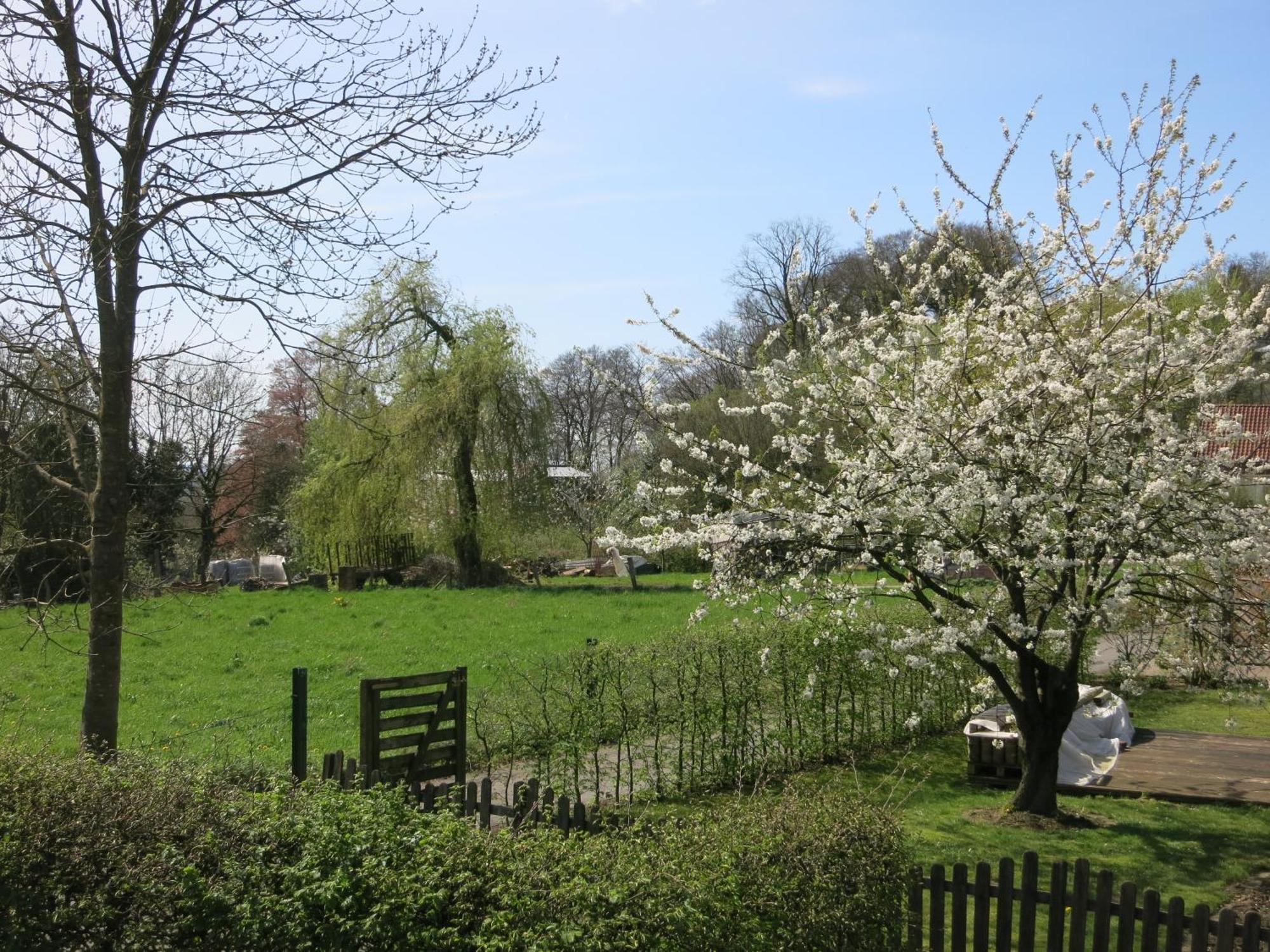Ferienwohnung Am Teutohang Tecklenburg Exteriör bild
